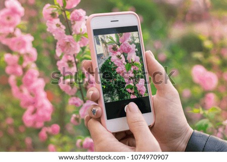 
Girl takes pictures of beautiful pink spring flowers