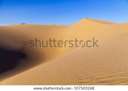 beautiful sand dune in sunrise in the desert