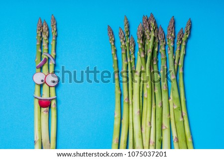 Food illustration. Fuuny face made with asparagus, radish and onion.