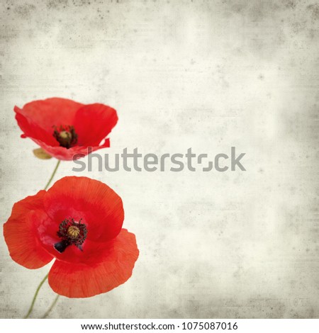 textured old paper background with ref field poppy