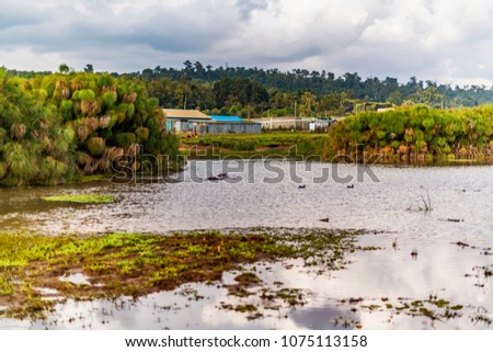 View of Manguo Hippo Pool, the highest,  largest hippo pool in Kenya, upstream from Thomson’s Falls, Ewaso Nyiro River. A few hippos are just visible. Local villagers can be seen on the far shore.