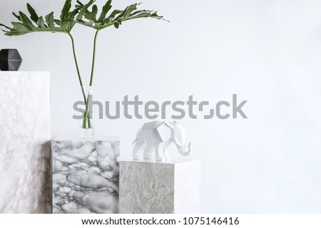 The white stylish interior with copy space, tropical leafs, white elephant figure and marble  blocks. 