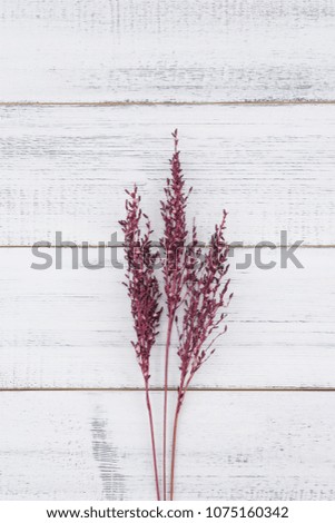 Violet dried flower on white wood background