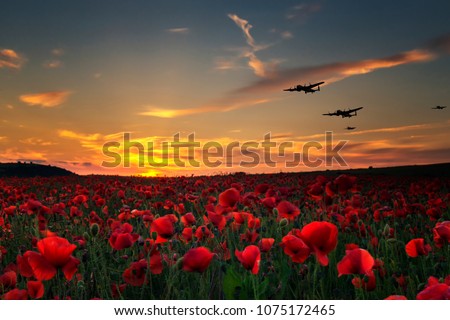 Lest we Forget poppy field with with WW11 planes flying across as the sun goes down.Remembrance Day, Anzac Day tribute to the fallen. Royalty-Free Stock Photo #1075172465