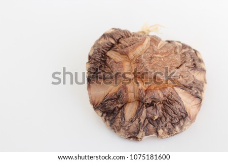Dried shiitake mushroom