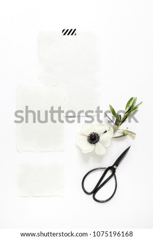 Wedding, birthday desktop mock-up scene. Blank cotton paper greeting cards, black vintage sciccors and olive branch with anemone flower.White table background. Vertical feminine flat lay, top view. 