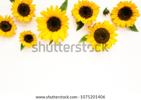 Beautiful with yellow sunflower on white background. Floral pattern. Flat lay, top view. Frame of flowers. Flowers texture