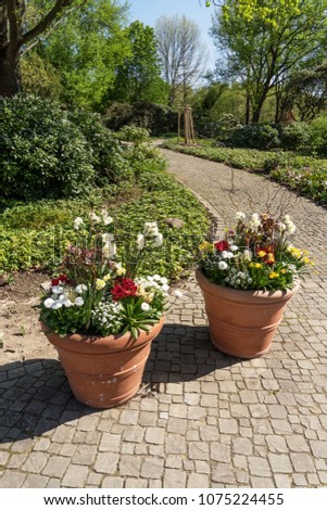 Two planters with blooming flowers in the park