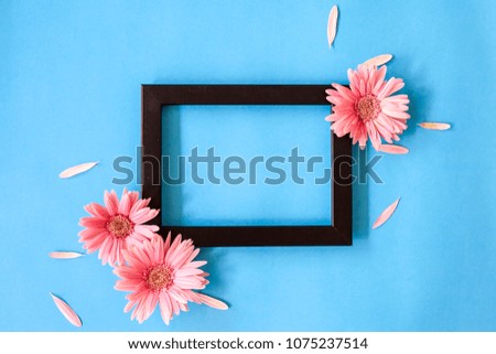 Empty frame and  gerbera flowers on colorful background