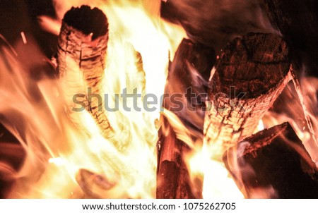 Close up of charred logs in fire 