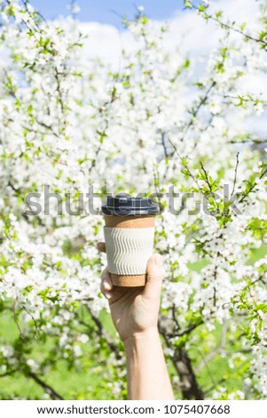 A woman's hand holds a disposable cup of coffee against the blossoming spring tree. The beginning of a beautiful spring day. Good mood and lifestyle