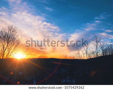 Beautiful and colourful sunset with tree leaves shadow in torrington connecticut united states.