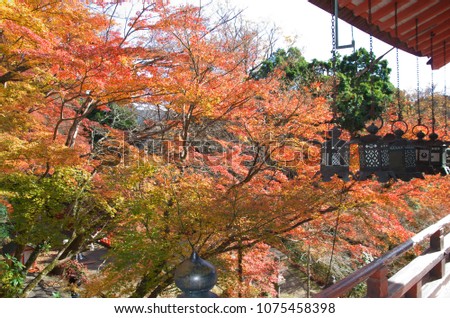 Autumn foliage at Tanzan Shrine in Nara Japan