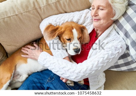 Directly above view of positive senior woman in soft cardigan cuddling favorite Beagle dog while sleeping on sofa Royalty-Free Stock Photo #1075458632