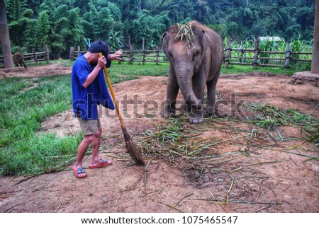 Mahout with His elephant at the camp.