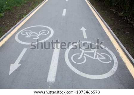 Painted signs on asphalt for bicycle dedicated lanes. A separate bike path in the city.