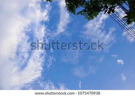 leaf and cable on  blue sky and cloud background. beautiful nature blue sky with trees, Looking up branch on sky background. pictured from Space for text in template. abstract wallpaper. Empty concept