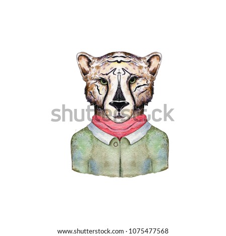 Watercolor wild cats. Tiger, leopard clip art, wild animal, drawing cheatah illustration, on white background