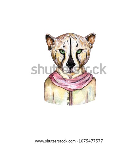 Watercolor wild cats. Tiger, leopard clip art, wild animal, drawing cheatah illustration, on white background