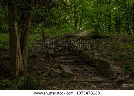 destroyed stairs in deep forest