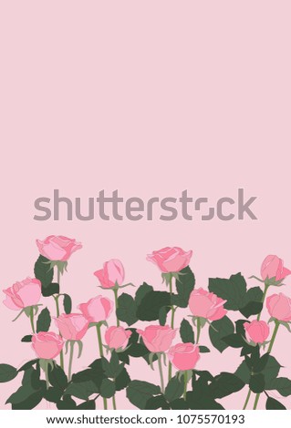 Pink rose vector