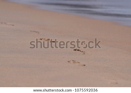 Delicate view of footprints on the beach with the sea receding at the top of the photo