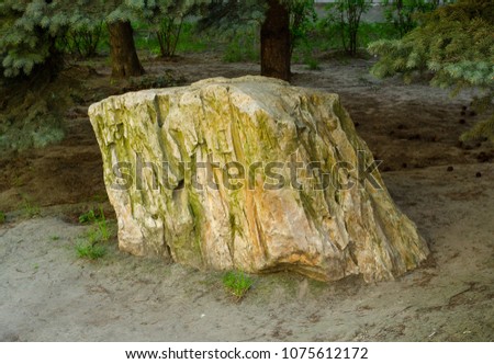 Large standing stone in the open air tree natural