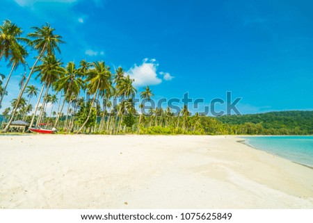 Beautiful nature tropical beach and sea with coconut palm tree on paradise island for travel vacation