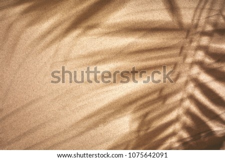 Copy space of shadow palm leaf on sand beach texture background.