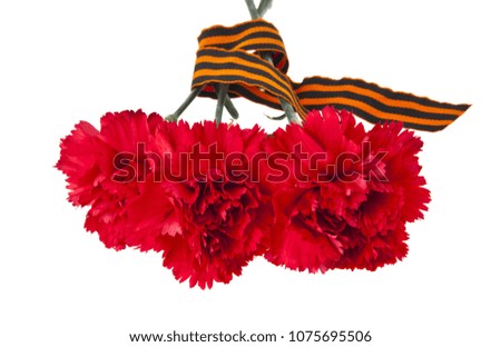 red carnations with ribbon isolated on white background
