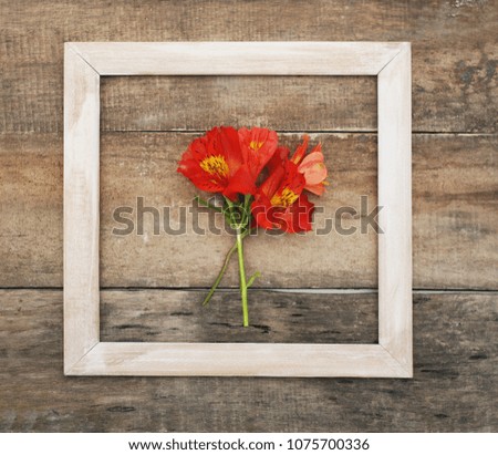 Square White Frame Orange Alstromeria Bouquet Flower Copmosition Arrangement Rustic Wooden Table