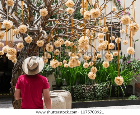 Man looking at tree with paper ball flowers