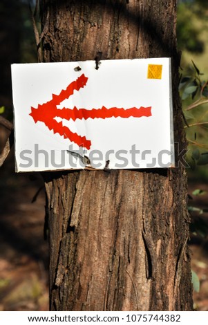 A arrow sign with a unique design with white and red bright colors on a tree alerting mountain bikers and hikers to go to the left to follow the trail
