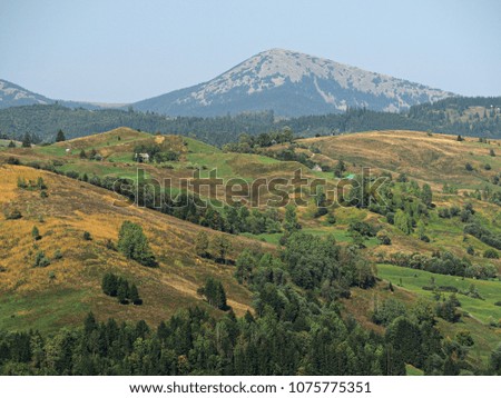 Carpatian mountains summer landscapes