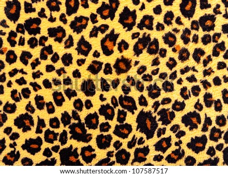 Closeup of leopard skin texture fur.