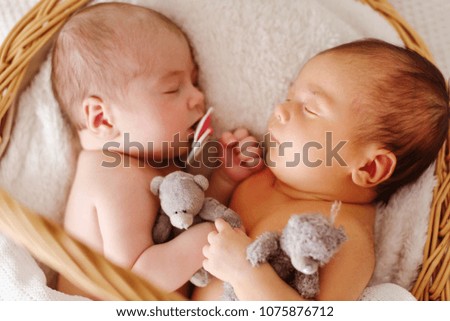 two sweet twins sleeping in the basket