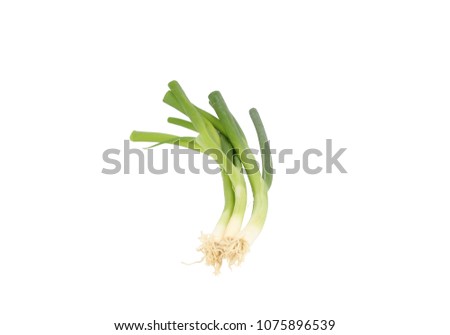 Scallion green onion spring onion salad onion bundle whole root