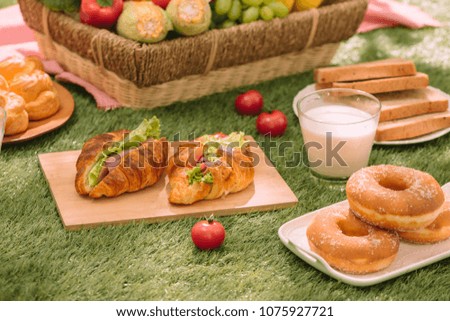 Healthy picnic for a summer vacation at the park on the grass.