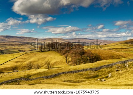 Typical Yorkshire Dales scenery with rolling hills and farmland, near Horton-in-Ribblesdale, North Yorkire. Royalty-Free Stock Photo #1075943795