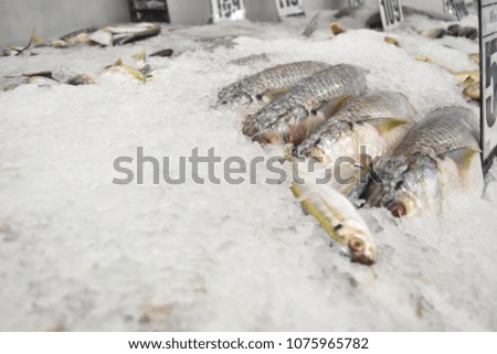 fish on ice in super market
