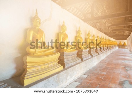 Row of old beautiful meditation Buddha statue in the temple