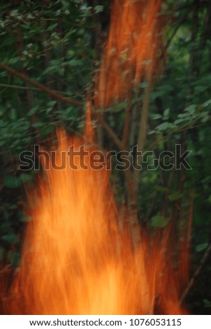 Campfire photography in a forest in Europe