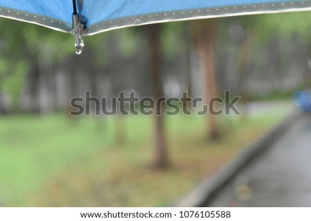 
close up water drops on the blue umbrella in rainy day 