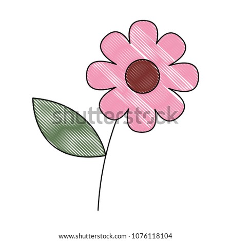 pink flower decoration natural image