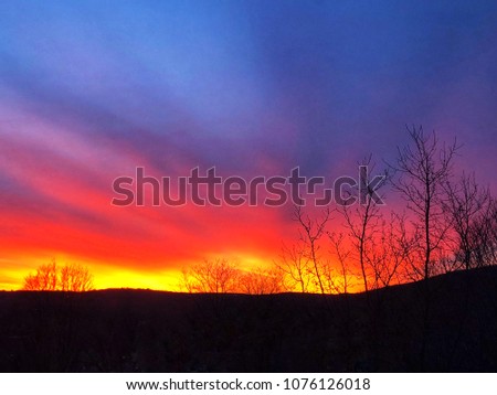 Beautiful and colourful sunset with tree leaves shadow in torrington connecticut united states.