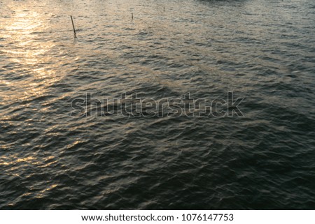 Sea surface with a little wave. There is sunlight reflected.