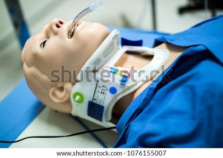 CPR SIMULATOR / AIRWAY MANAGEMENT / WHOLE BODY Royalty-Free Stock Photo #1076155007