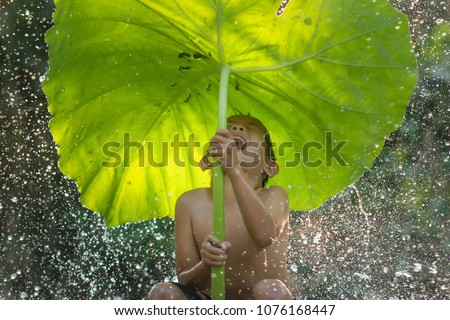 The freshness of the children rural in the rainy season.Happy kid boy playing and hiding under green umbrella nature in rainy autumn day in waterfall or countryside,Thailand,Asia. Royalty-Free Stock Photo #1076168447