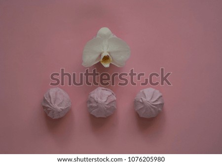 marshmallow on a gentle pink background with a white orchid flower, top view, concept of oriental sweets,copy space
