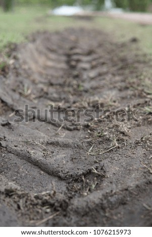 Close up of an unidentified vehicle's tire track. Blurry background of the track and a park.